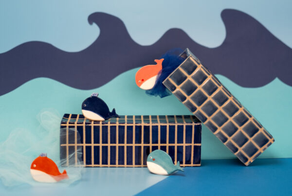 casa-papita-photographie-production-bordeaux-chokoprod-baleine